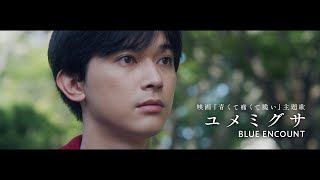 BLUE ENCOUNT 『ユメミグサ』Music Video（Movie Ver）【映画『青くて痛くて脆い』主題歌】 [upl. by Virginia331]