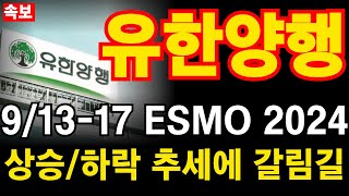 유한양행 ESMO 2024 렉라자 개발진 한국인 최초 수상 상승과 하락에 갈림길 [upl. by Teague415]