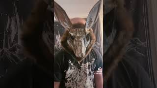 New cardboard rabbit mask therian furry fursuit cosplay [upl. by Amian]