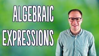 Algebraic Expressions Basics [upl. by Cline850]