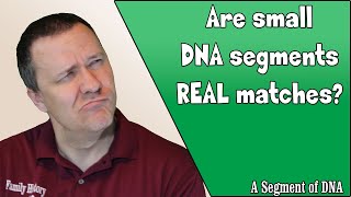 Are small cM matches are FALSE MATCHES  Genetic Genealogy Explained [upl. by Kira408]