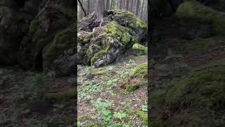 Wanderung auf den Wendelstein in Bayern mit meinem Bruder Part 3 wandern wanderlust bayern [upl. by Asirrac978]