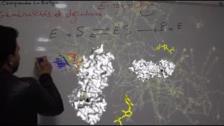 Séance 2  Structures des enzymes [upl. by Heathcote]