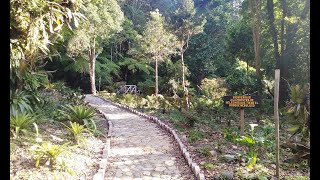 JARDÍN DE LOS 💯 AÑOS MONTECRISTO [upl. by Welker]