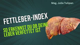 Fettleber erkennen mit dem Fettleber Index [upl. by Etaner719]