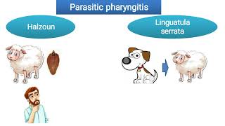 Parasitic pharyngitis Halzoun  Linguatula serrata [upl. by Ibbor]