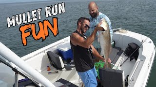 Mullet run fun at Ponce Inlet [upl. by Paluas618]