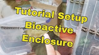 Tutorial setup enclosure bioactive  Part 2 [upl. by Drageruaeb]