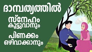 ദാമ്പത്യത്തില്‍ സ്നേഹം കൂട്ടുവാനും പിണക്കം ഒഴിവാക്കാനും  Malayalam Islamic Speech 2018 [upl. by Kahcztiy]