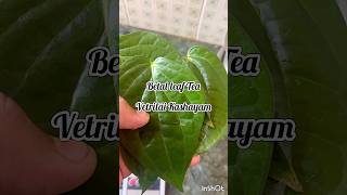 Health drink  Cure cold and cough  kashayam preparation  Vetrilai kashayam  Betel soup drinks [upl. by Anastas]