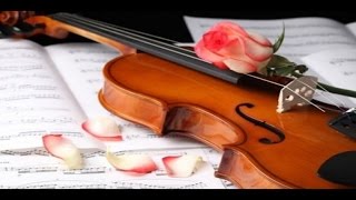 Klassieke muziek om te studeren Mozart Beethoven Piano Viool  Deel2 [upl. by Eillor]