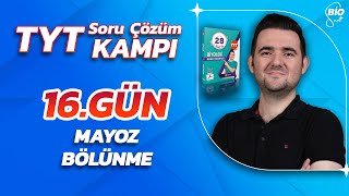 Mayoz Bölünme Soru Çözümü  21 Günde TYT Biyoloji Kampı16 [upl. by Notyrb]