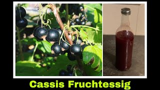 Johannisbeeressig Rezept Cassis Obstessig  Johannisbeeren Essig  Selbstversorgung Ribisel [upl. by Anselm819]