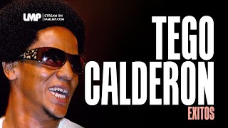 Tego Calderon Reggaeton Exitos  DJ Fibo [upl. by Emory]