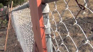 Home Improvement Tip Fast and Affordable Fence Trick [upl. by Thisbe]