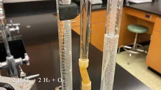 Electrolytic Separation of Water Using a Hofmann Voltameter [upl. by Onimixam904]