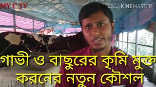 গাভী ও বাছুরের কৃমি মুক্ত করনের নতুন কৌশল Gavi k cremi mukto korar upai jananun my c tv [upl. by Aicenav]