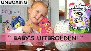 HATCHiMALS SURPRiSE TWEELiNG BABYS  Lucilla Bellinga Vlog 44 [upl. by Ynnavoig]