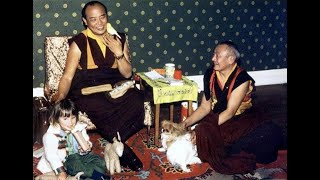 Das Leben des 16 Karmapa [upl. by Eilla]