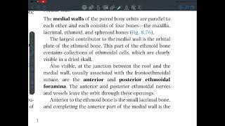 Head and Neck anatomy  Lec 9  Orbit  Bones  Eyelids  lacrimal apparatus [upl. by Ahseinat612]