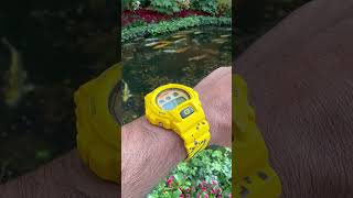 Ed Sheeran x Hodinkee Casio GSHOCK at a Koi Pond in Bellagio shorts watches watch gshock vegas [upl. by Ramad336]