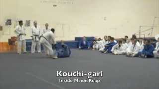 15 BASIC JUDO THROWS  LA VALLEY COLLEGE [upl. by Meredeth]