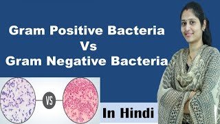 Difference between Gram positive and Gram negative bacteria  In Hindi  Science Explored [upl. by Schinica]