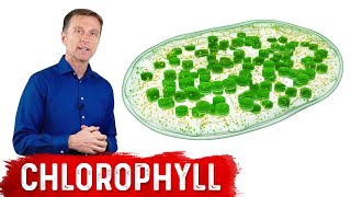 9 Proven Benefits of Chlorophyll [upl. by Neih]