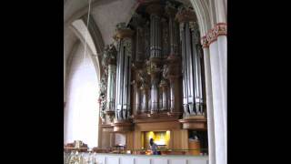 Johann Adam Reincken Toccata in G [upl. by Hakaber]