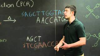 Polymerase Chain Reaction PCR  MIT 701SC Fundamentals of Biology [upl. by Lempres]