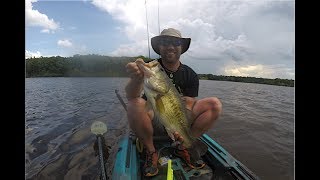 Big Summer Bass Fishing Crankbaits on Lake Mackintosh [upl. by Cira]