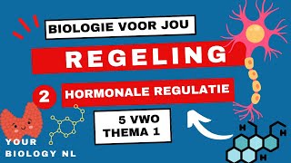 5 vwo  Regeling  2  Hormonale regulatie [upl. by Esilehc968]