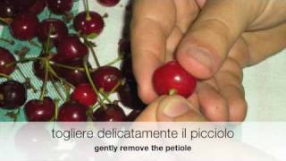 Amarene sotto spirito  Sour cherries with spirit [upl. by Woo]