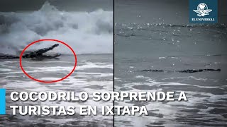 ¡Cocodrilo a la vista Sorprende animal a turistas en playa de Ixtapa Zihuatanejo [upl. by Salem]