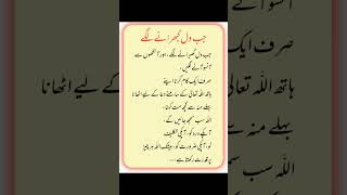 Aqwal e zareen in urdo  poetry motivation urdupoetry queets urdu [upl. by Donall]