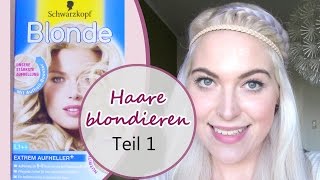 Haare blondieren ohne Gelbstich  Follow me around Teil 1 [upl. by Gavrila]