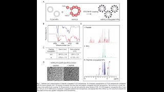 PEGPLGA from PolySciTech used in development of nanoparticles to treat strokeinduced brain injury [upl. by Dinsmore]