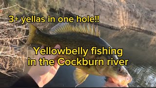 Clearwater yellowbelly fishing in the Cockburn River [upl. by Guy]