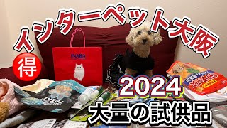 【インターペット大阪2024】9月21日の日本最大級のペットイベントに参加 ❣可愛いお洋服やお得がいっぱい [upl. by Verdie]