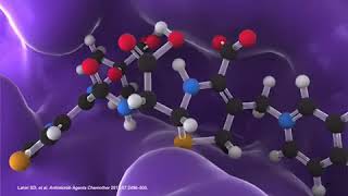 CEFTAZIDIME AVIBACTAM [upl. by Naivaf]