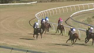 Yeppoon 20240803 Race 1 [upl. by Siegfried]