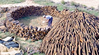 El CARBONERO Transformación de 10000 kg de leña en CARBÓN VEGETAL en la naturaleza  Documental [upl. by Wagoner829]