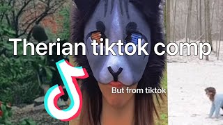 🍃Therian tiktok comp 2🍂alterhuman Of tiktok🪶🐾 [upl. by Akimert]