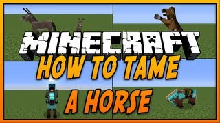 ✔ How To Tame and Ride a Horse in Minecraft [upl. by Demmer]