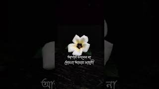 ইসলামিকভিডিও l loveformuhammads হযরতমুহাম্মদসাঃ [upl. by Abbott309]