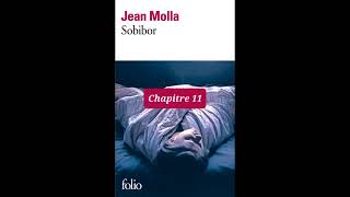 11  Sobibor  livre audio  Chapitre 11  Jean Molla  lecture et résumé [upl. by Oicapot]