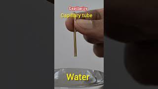 Capillarity  capillary action  केशिकात्व  surface tensionadhesive force education science [upl. by Katushka627]