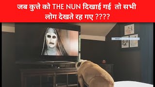 dog watching horror movie the NUN  horror  bull dog  annabelle doll  R C [upl. by Esiahc]