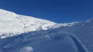 Skitour Zwiesel 1782m  Chiemgauer Alpen [upl. by Kjersti751]