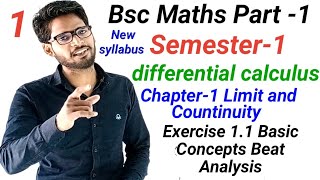 Bsc first year Maths  chapter 1 Limit and Continuity  Exercise 11 Basic Concept best Analysis [upl. by Vogele]